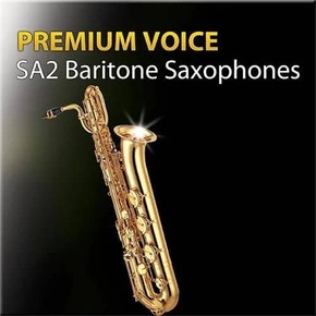 超清晰音色2代 上低音萨克斯